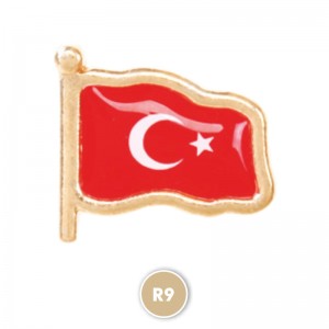 R9 Rozet