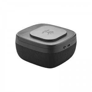 4250 Siyah Wireless Şarj & Hoparlör