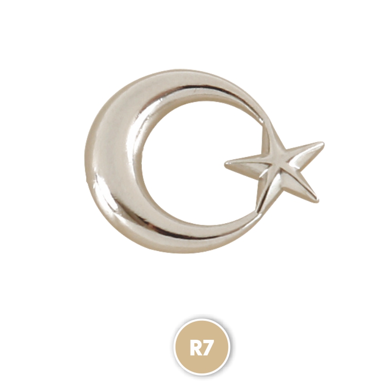 R6 Silver شارة